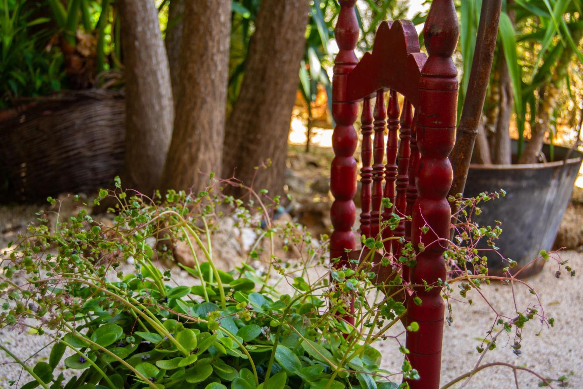 קברה Alojamiento Rural Las Acacias מראה חיצוני תמונה